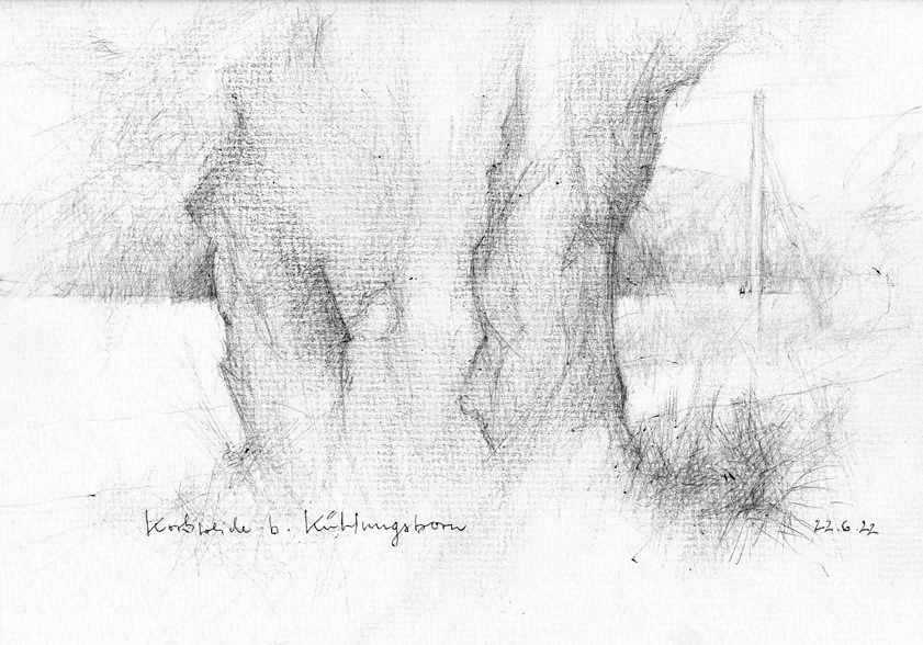 220622 Korbweide